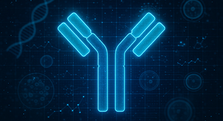 Nano Bispecific Antibody